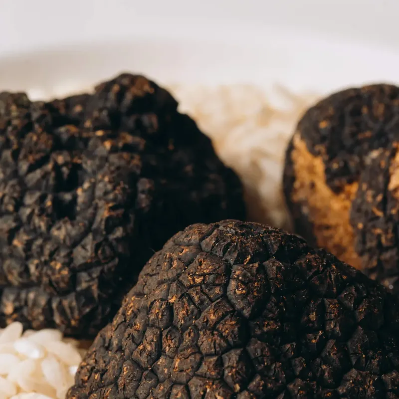 Black truffles