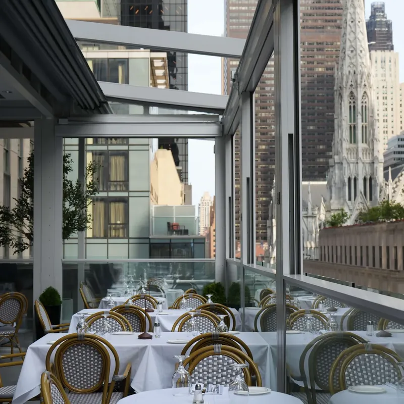 The terrace in daylight, St Patrick's Cathedral beyond the glass